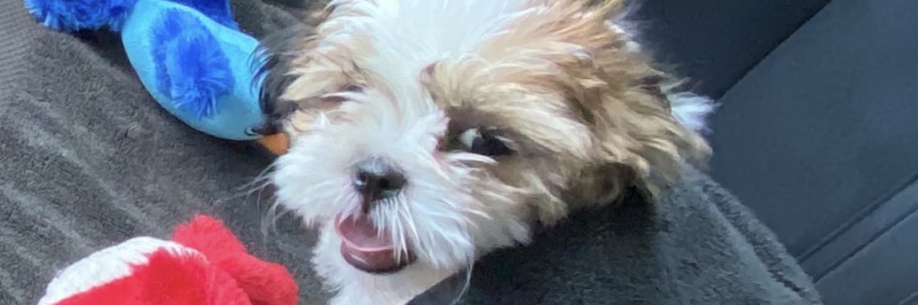 amosq24's profile banner image