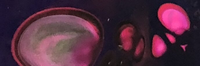 DiannMarie's profile banner image