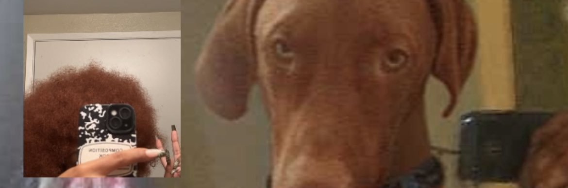 I BULLY RACIST 🤺🍉 banner