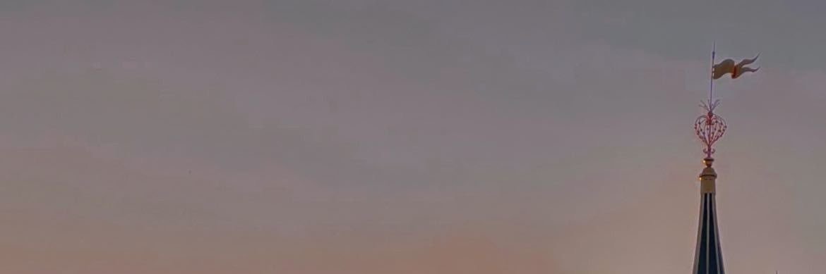 mampsx's profile banner image