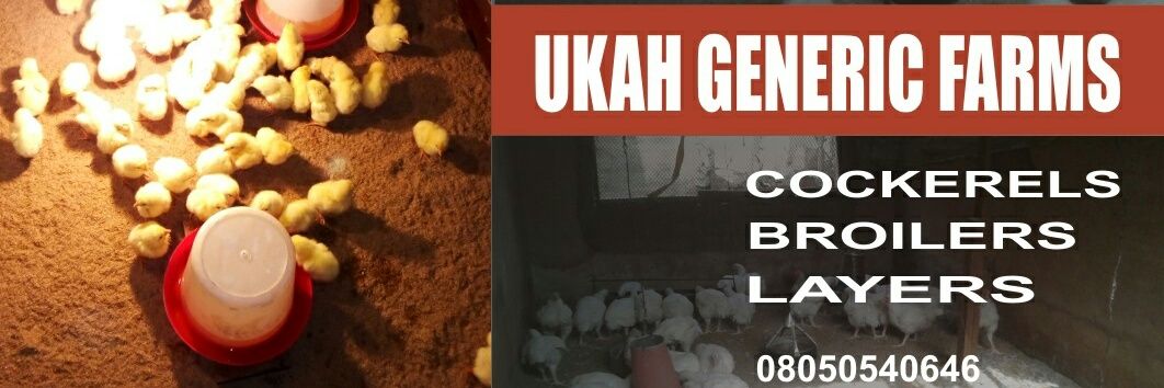 Ukah, Augustine Obaah (Chief) banner