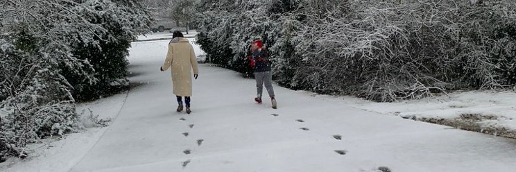 Kim Wright (she/hers) banner