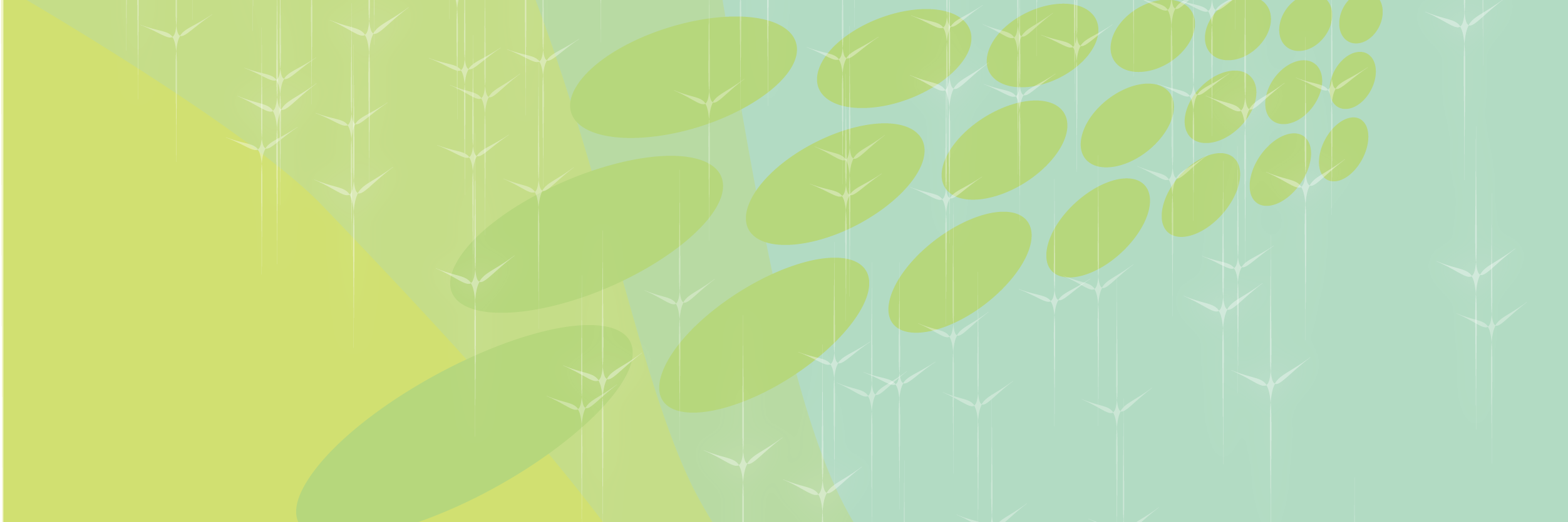 netlifeonline's profile banner image