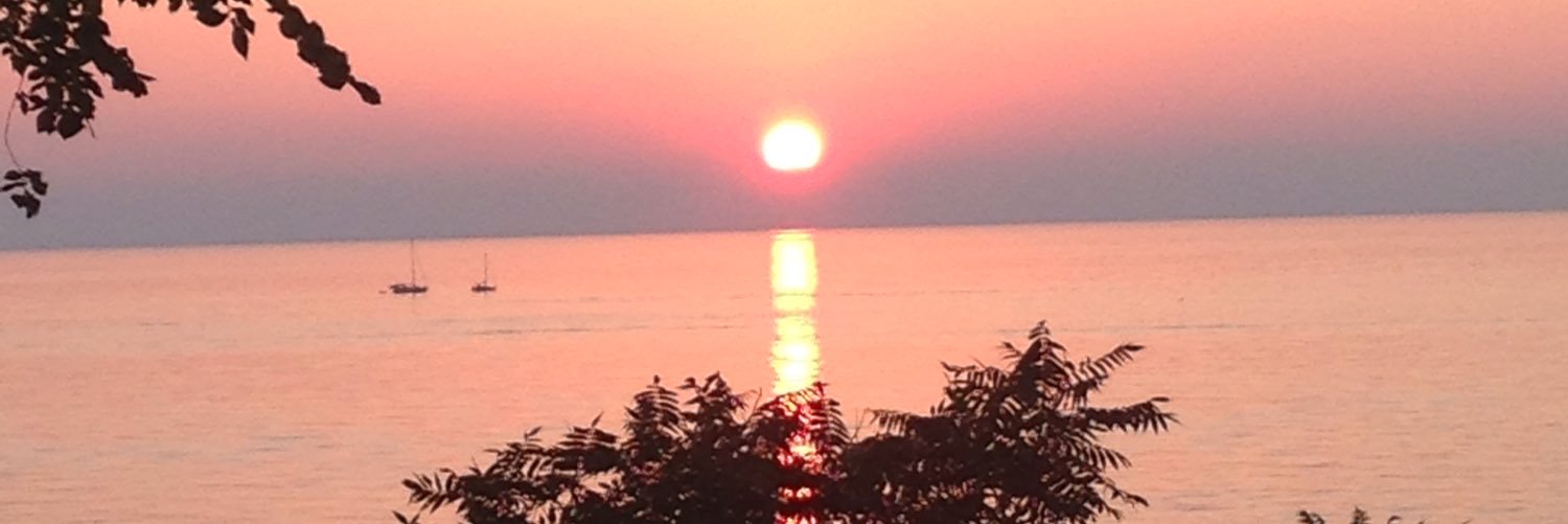 ArppeScott's profile banner image
