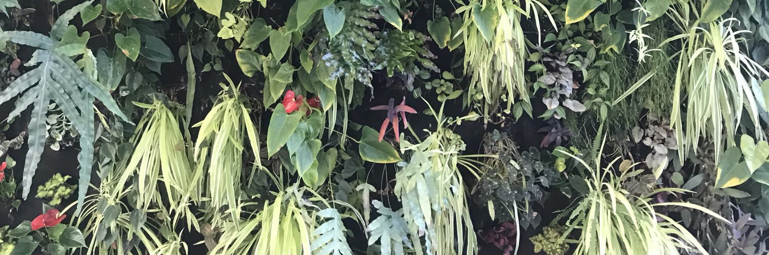 Caitlin Kerfin-Smith banner