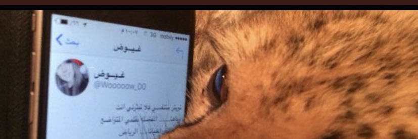 . banner