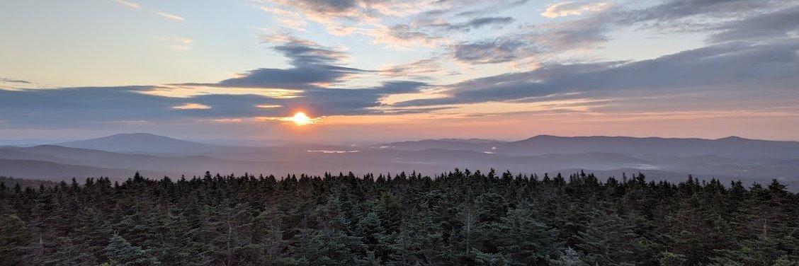 lizbierly's profile banner image