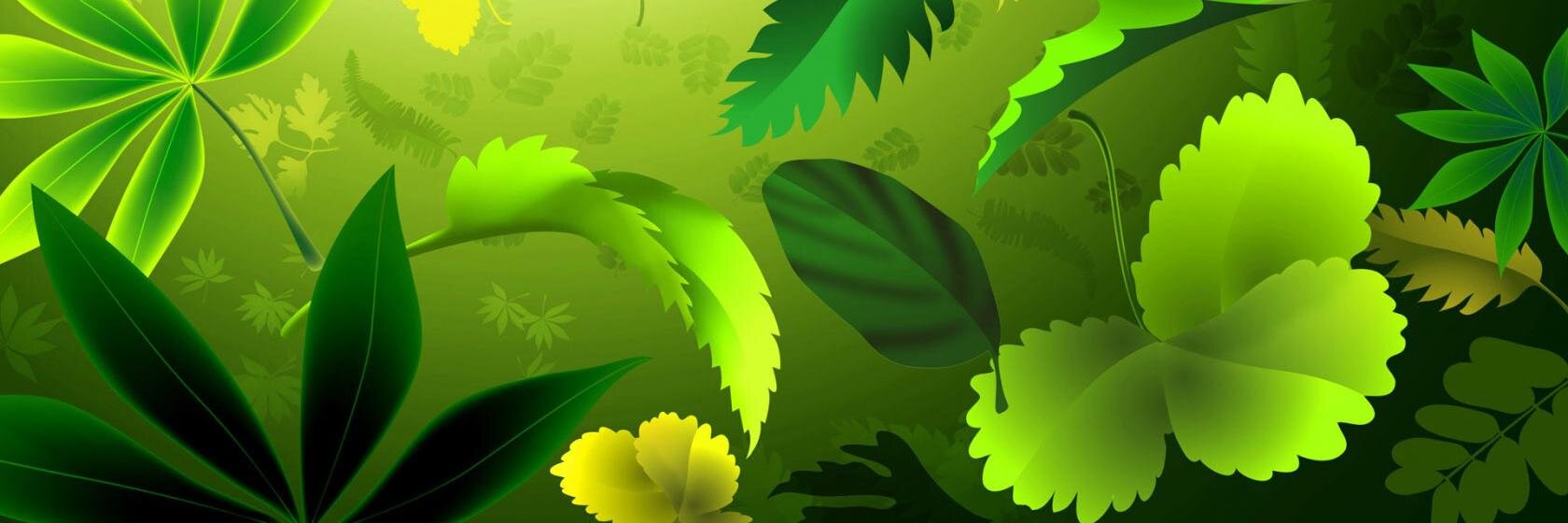 TagTasha's profile banner image