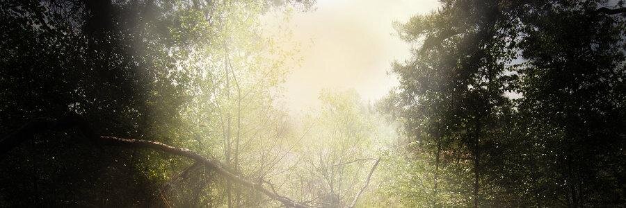 kendra_stone1's profile banner image