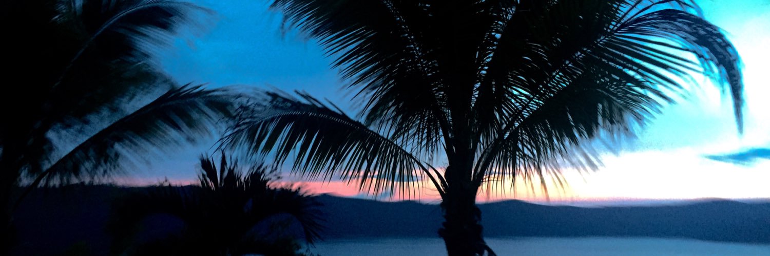MaggieSammon's profile banner image