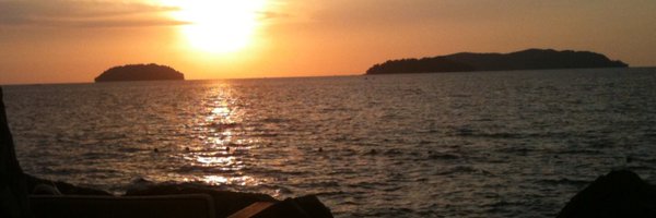 lisaellenjames Profile Banner