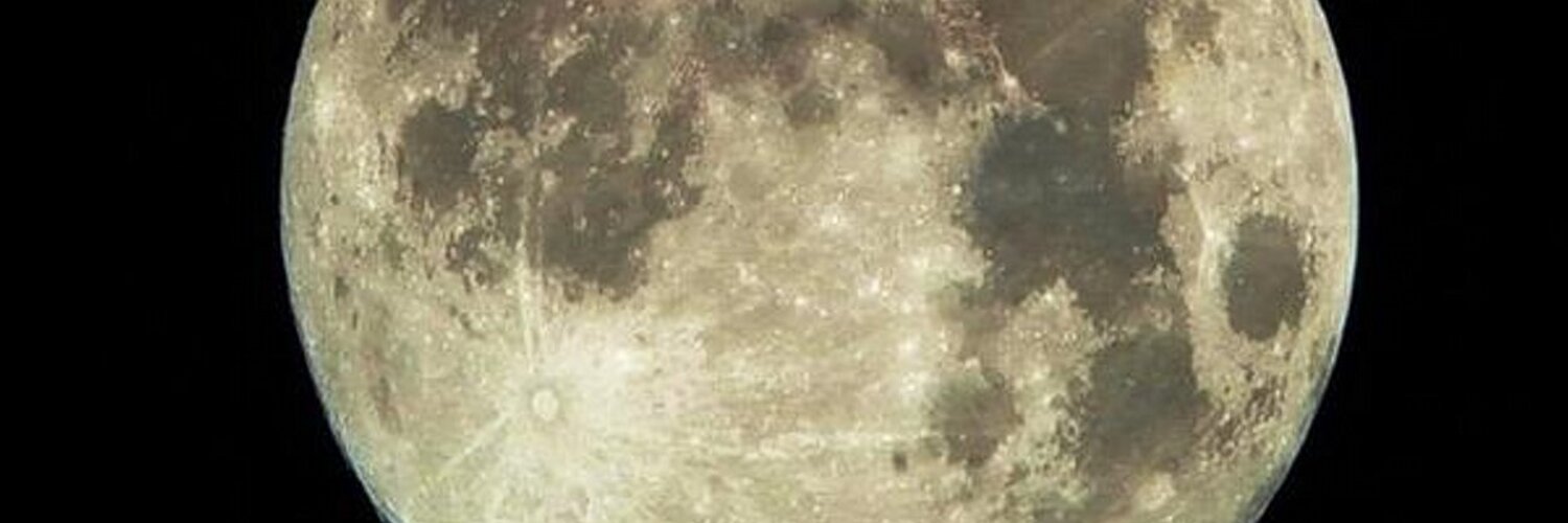 きゅあ★竹猫 banner