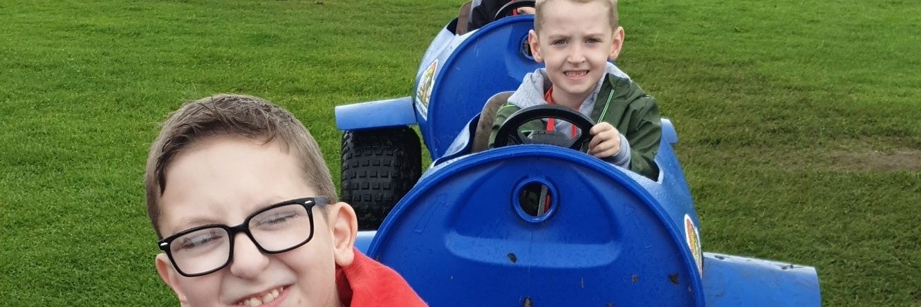 didelfcdazy🇵🇸🇮🇪 banner