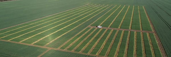 InterGrain1 Profile Banner