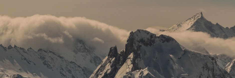 Peter Gunawan banner