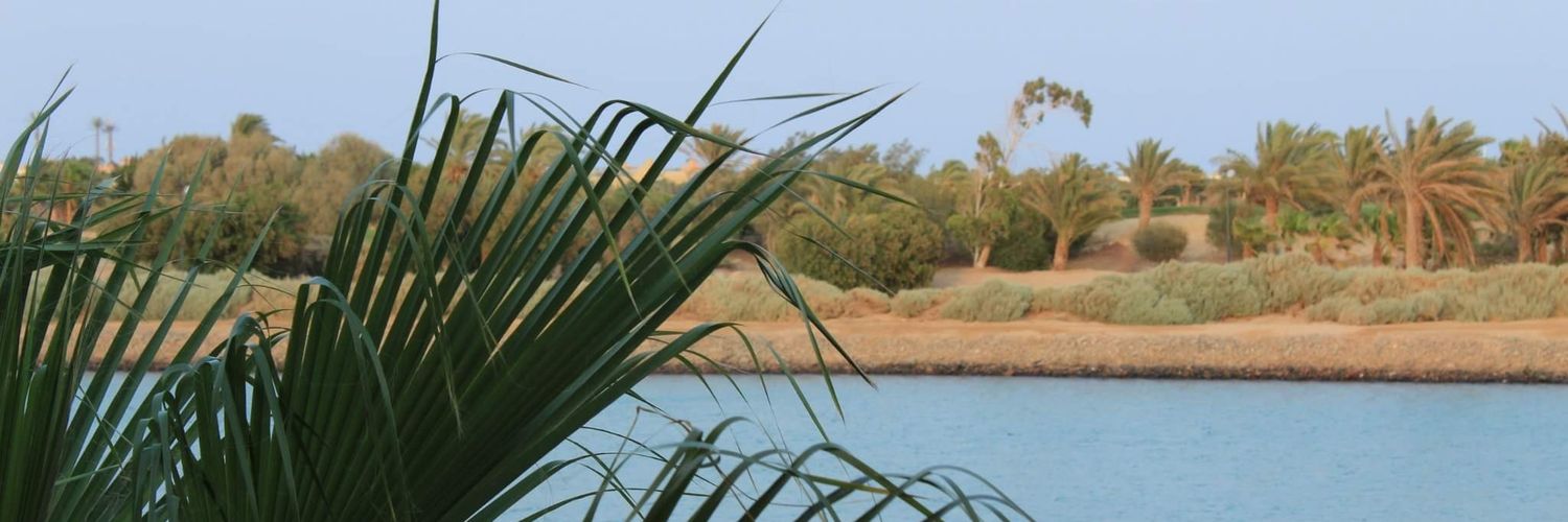 Sal Gabriel banner