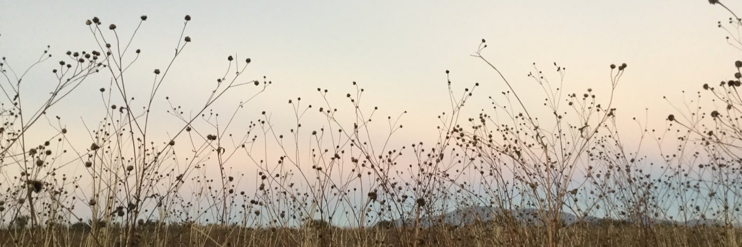 irismontees's profile banner image