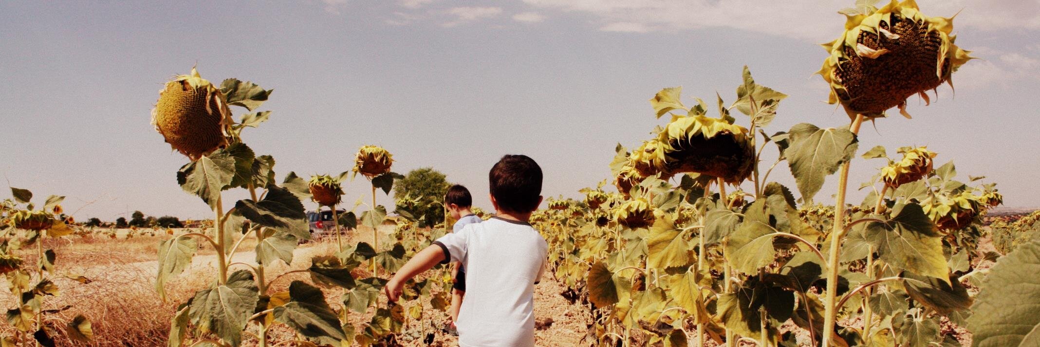 verunavarro's profile banner image
