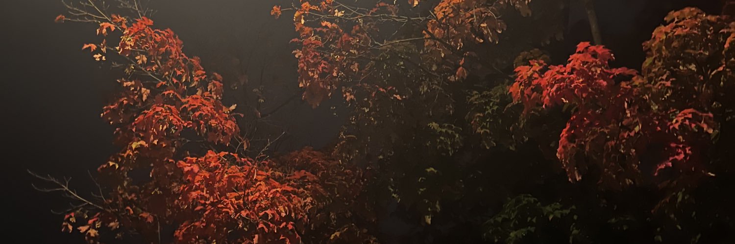 Sinister_Scribe's profile banner image