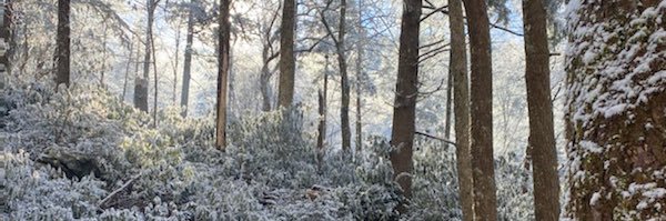 GWou237's profile banner image