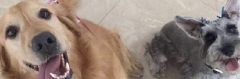 CallMeNinno's profile banner image