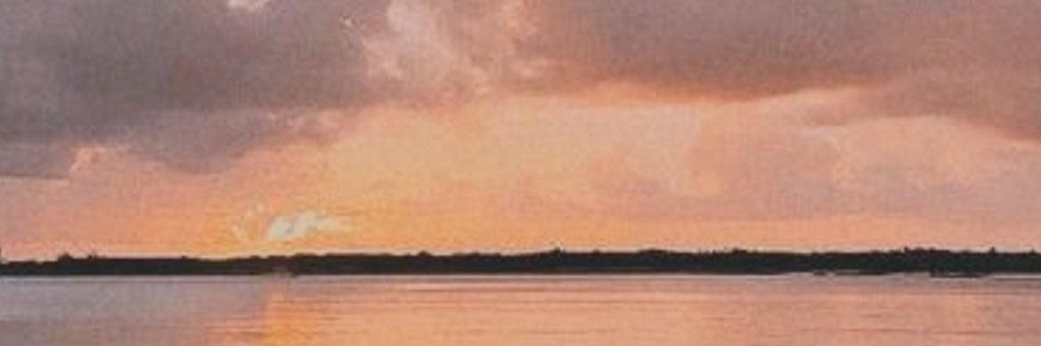 lillymccue's profile banner image