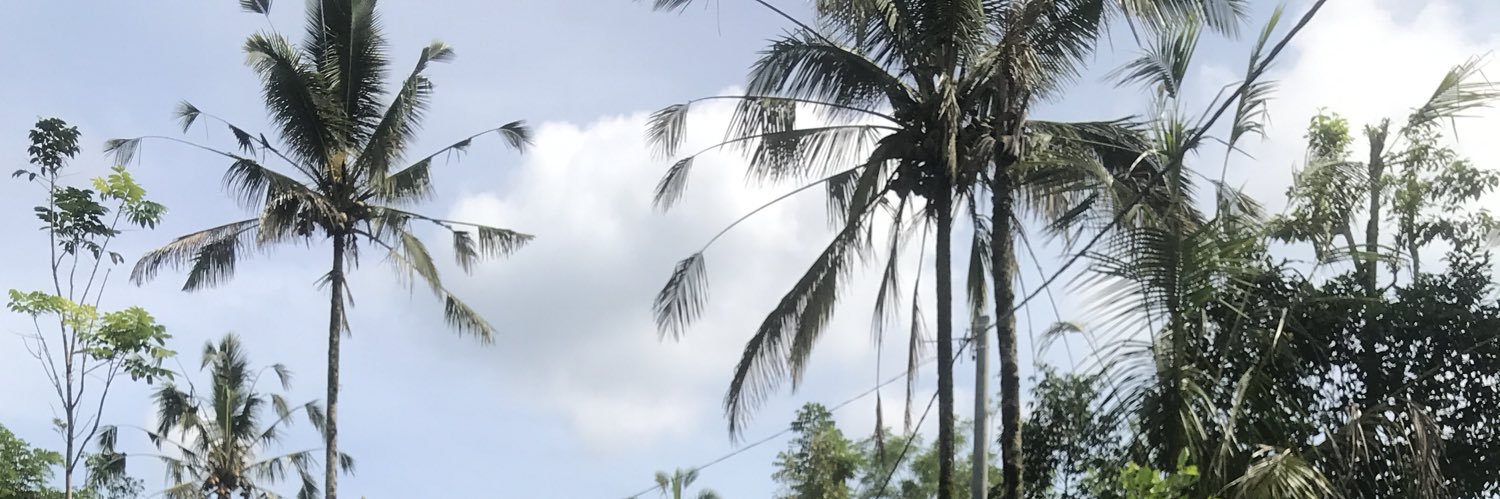 zoechurch's profile banner image