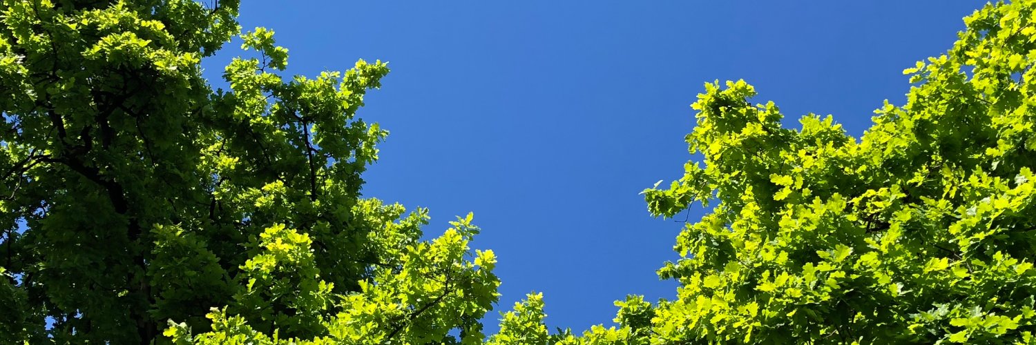 prodivame's profile banner image