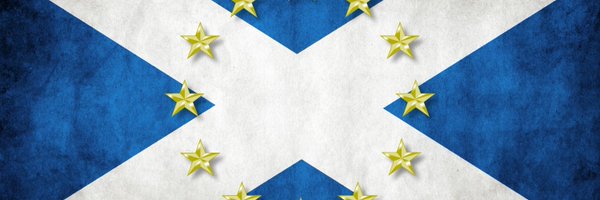 warycat Profile Banner