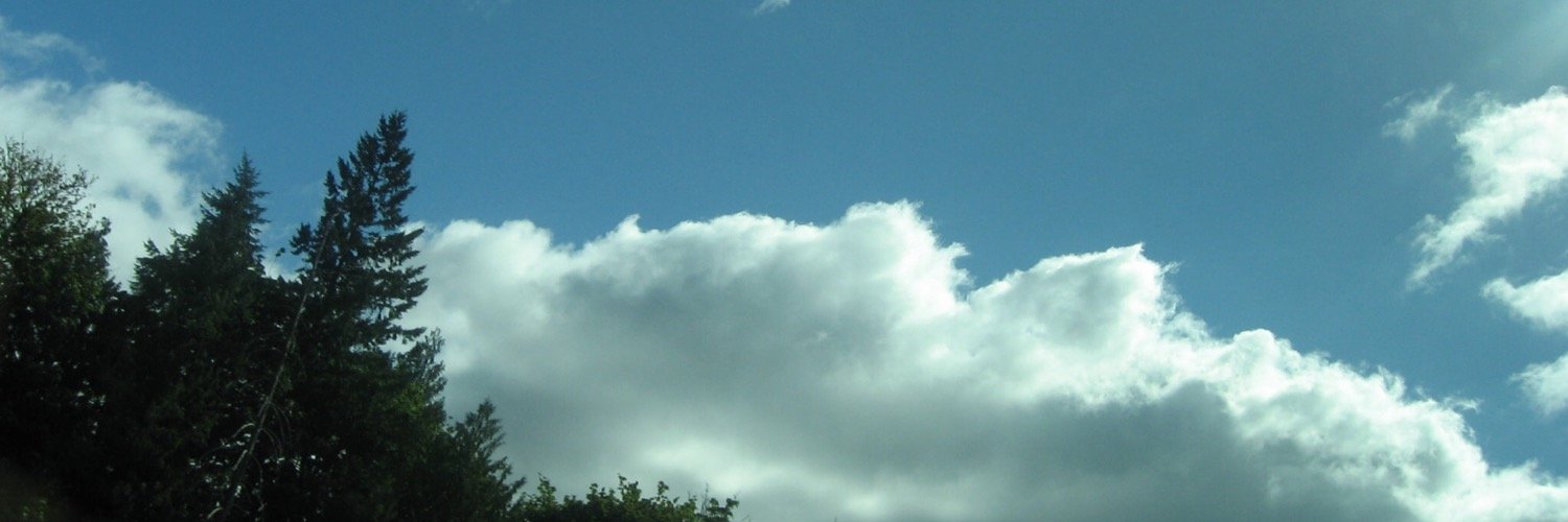 sasan106's profile banner image
