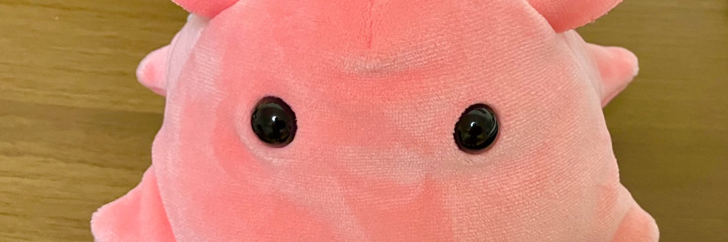 nYmtWhite's profile banner image