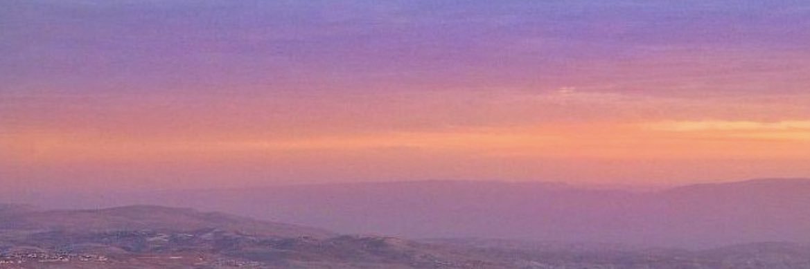 ZevLowy's profile banner image