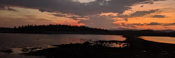 JenelleLWallace Profile Banner