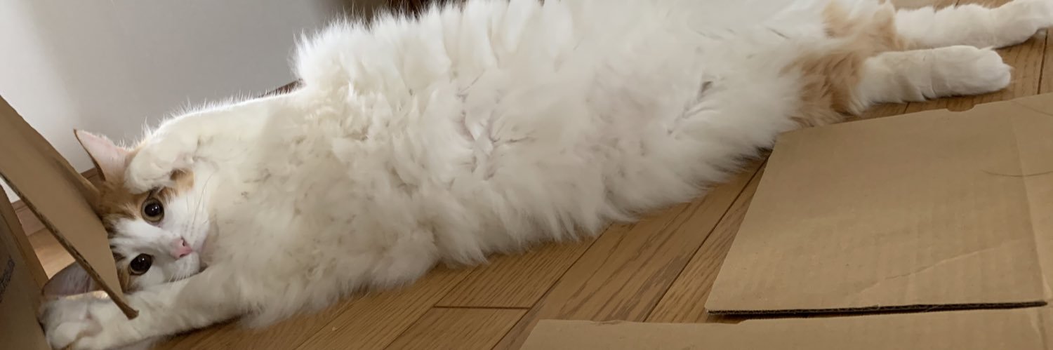 ZC6_139's profile banner image