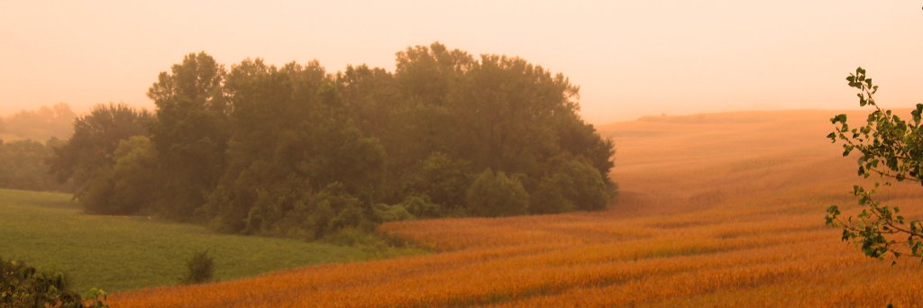 JasonRHogue's profile banner image