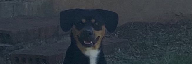 autrey_taylor's profile banner image