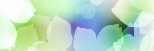 Marini banner