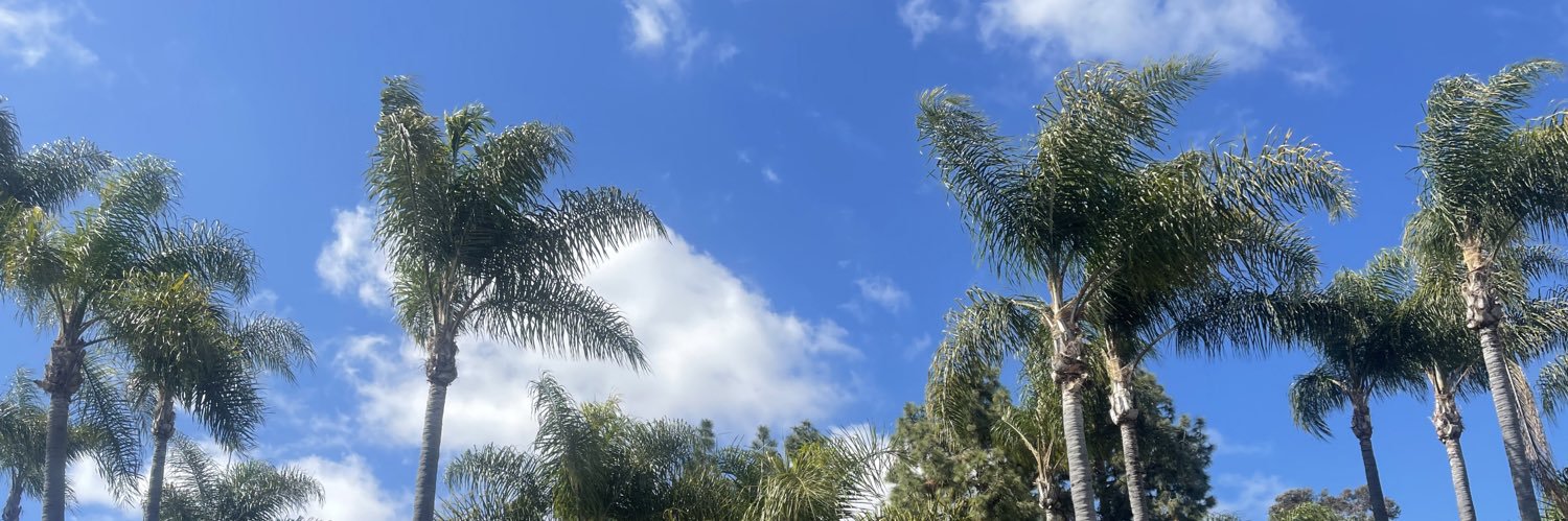 LeaveItToKy's profile banner image