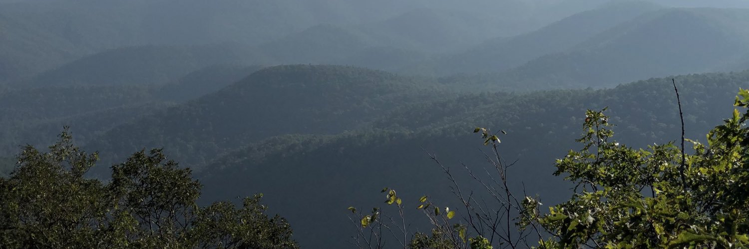 Daniegurrl's profile banner image