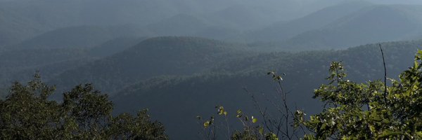 Daniegurrl Profile Banner