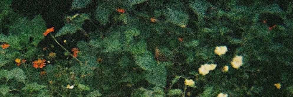 َ banner