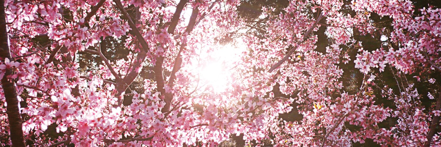 JapanWNY's profile banner image