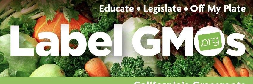 Label_GMOs's profile banner image