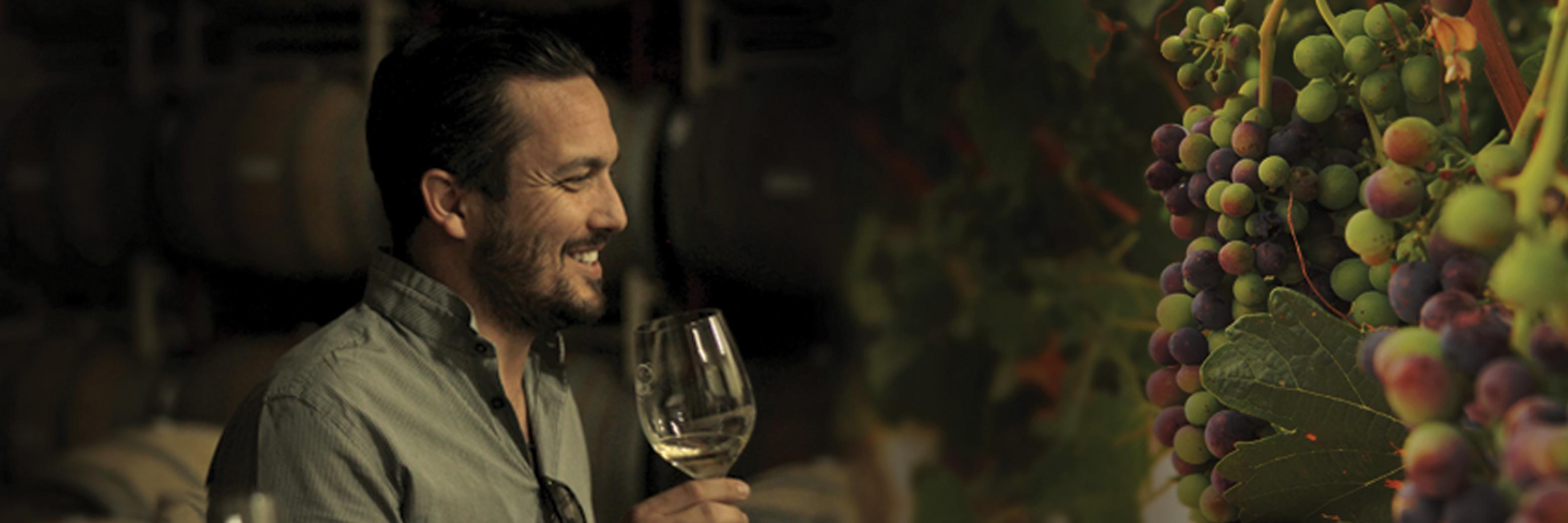 FVWines's profile banner image