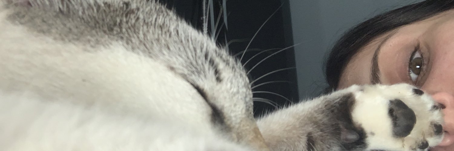 iararaca's profile banner image