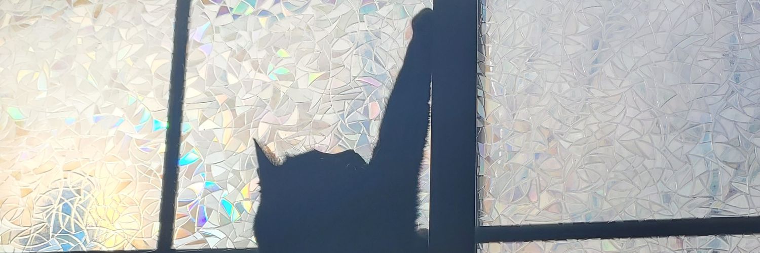 SarahJTheDJ's profile banner image