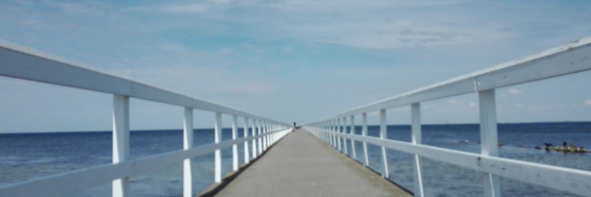 nilsgjer's profile banner image