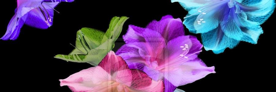 RayRay31960's profile banner image