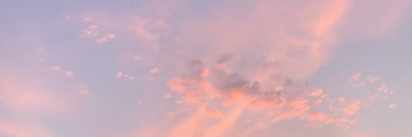 meganboesee's profile banner image