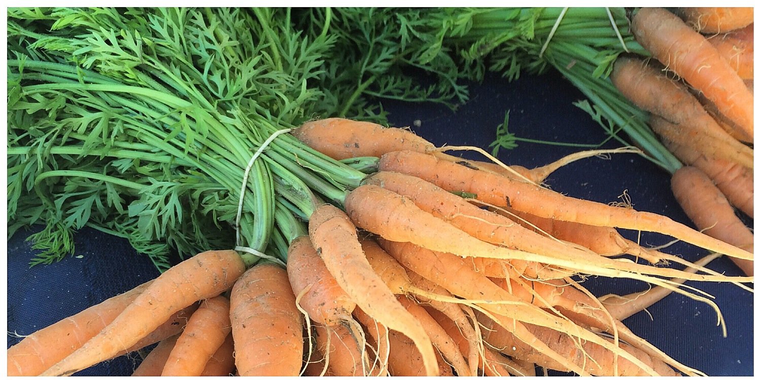 CLE Juice Box banner